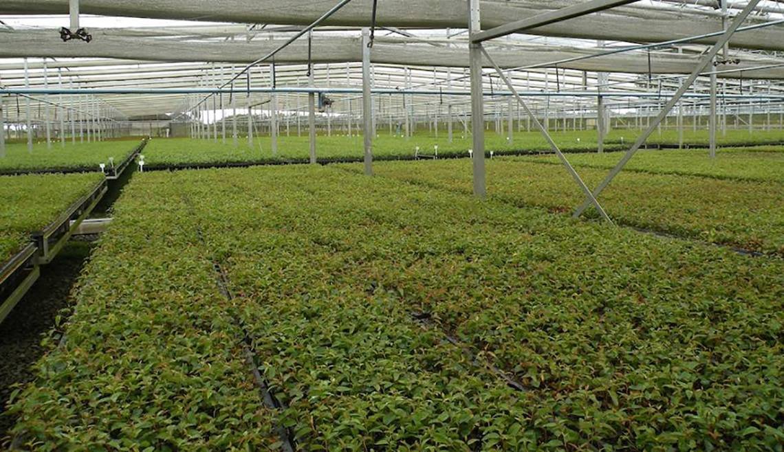 Futurelife-home2-slideshow