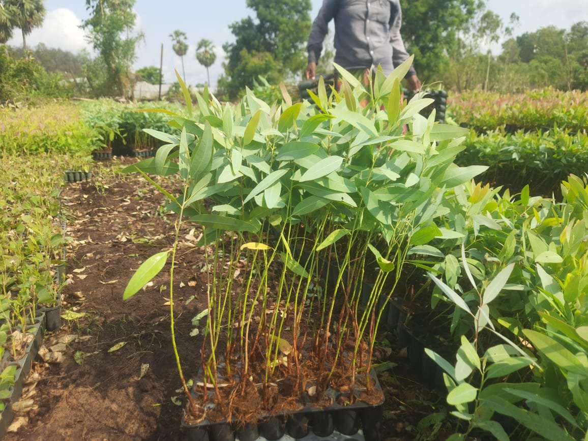 Futurelife-home2-slideshow